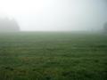 #4: View South: meadows and trees in the mist