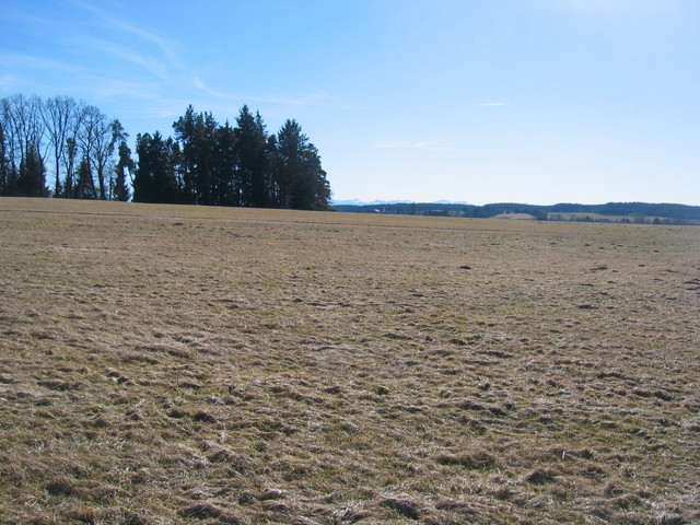 View to the South