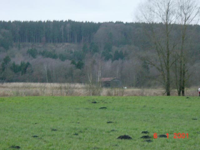 The typical Bavarian Fir tree forests surround the confluence