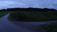 #7: Maize field with CP and view to houses of Aßling