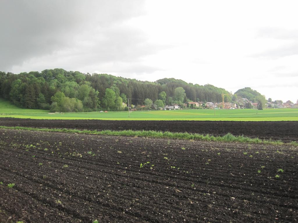 Osten; view east