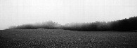 #6: Morgenstimmung