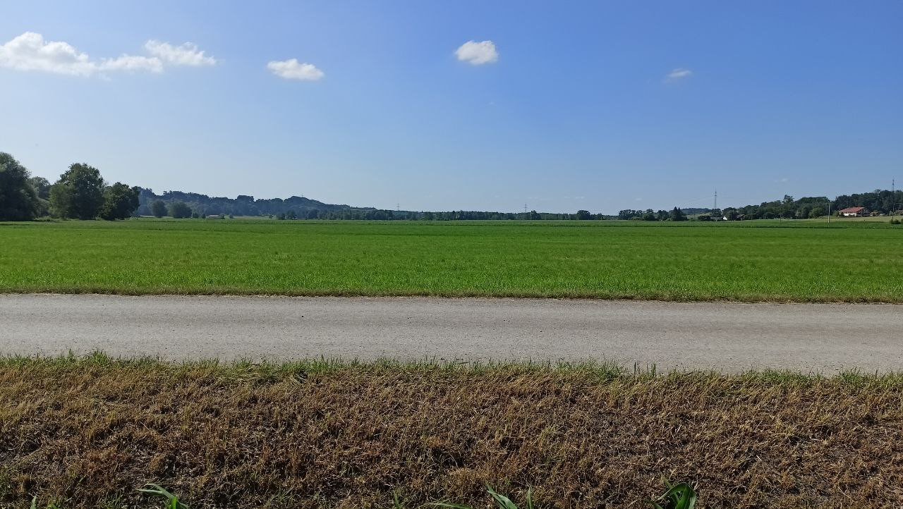 North