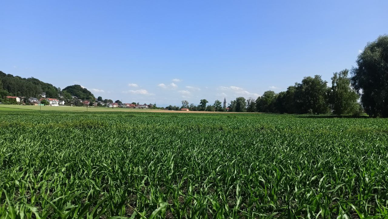 South