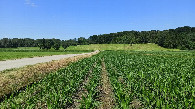 #3: East