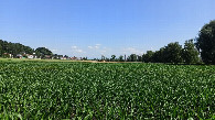 #4: South
