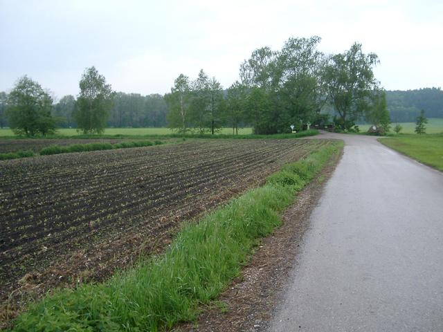 General view towards south-west from a distance of about 30 meters