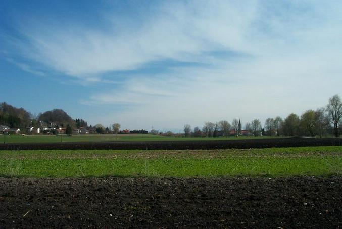 View south from the confluence / Blick vom Confluence-Punkt nach Süden