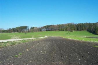 #1: View east from the confluence / Blick vom Confluence-Punkt nach Osten