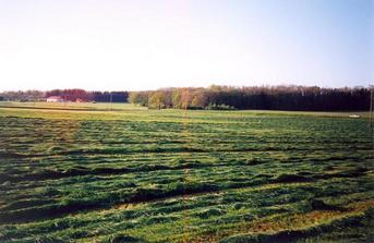 #1: View towards N from the confluence