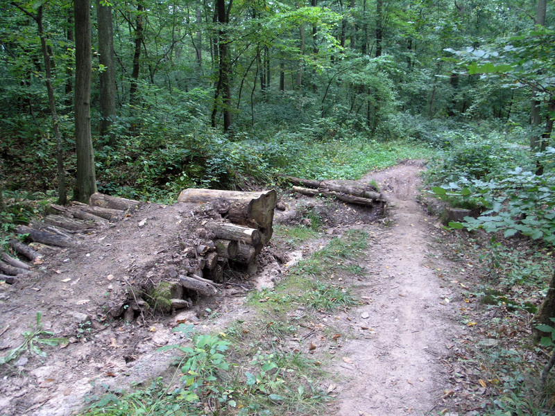 Downhill bike path with a jump over a small creek