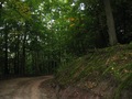 #8: View to the South