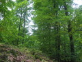#9: View to the West
