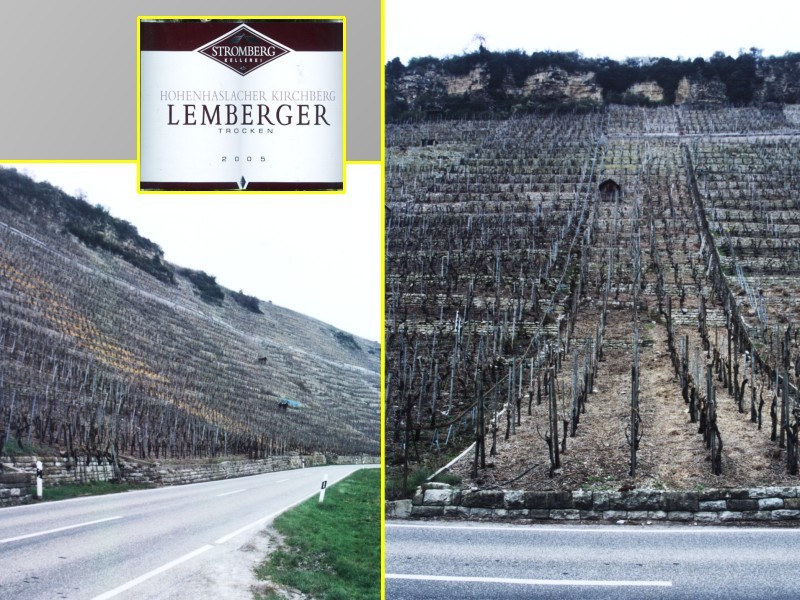 Vineyards of the Neckar (Baden) region