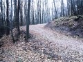 #4: Looking South