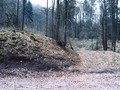 #5: Looking West