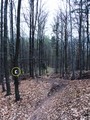 #8: The shorter but steeper path with blue-white markers