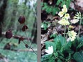 #9: It is springtime