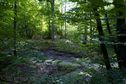 #4: View West