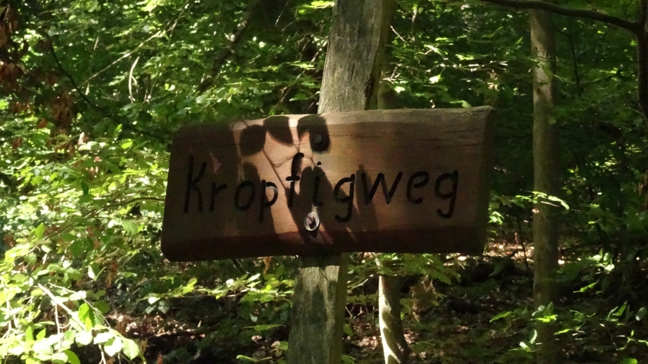 Trailname Kropfigweg
