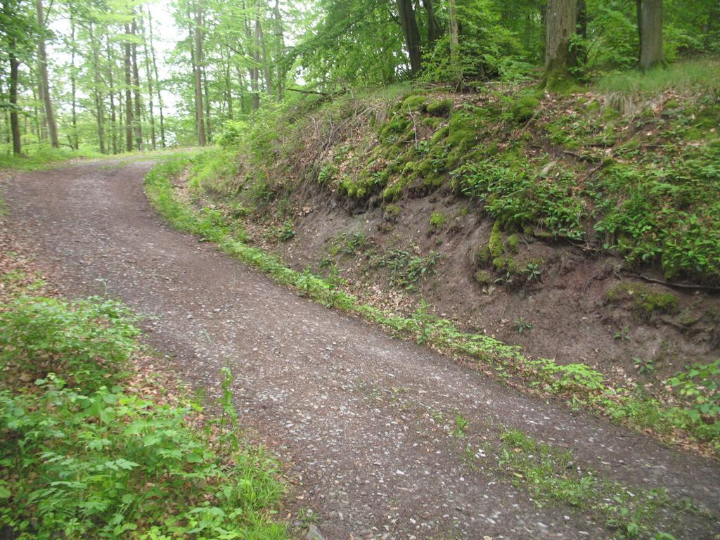 Süden; view south