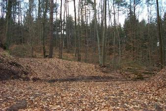 #1: View west from the confluence point / Ausblick vom Confluence Punkt nach Westen