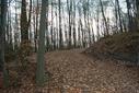 #6: View south from the confluence point / Ausblick vom Confluence Punkt nach Süden