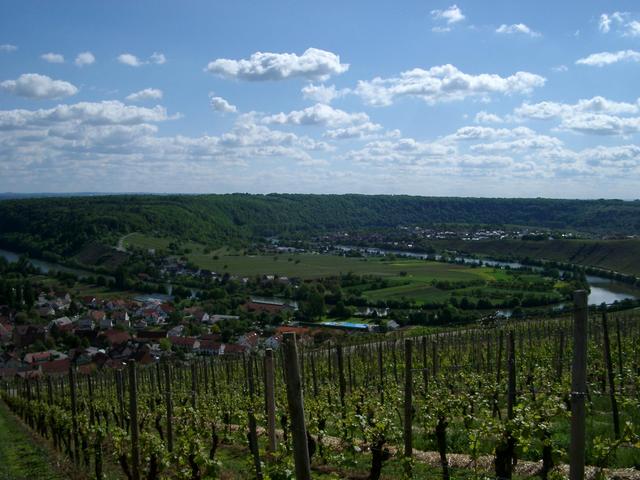 Neckar river valley near Hessigheim