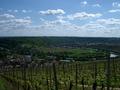 #9: Neckar river valley near Hessigheim