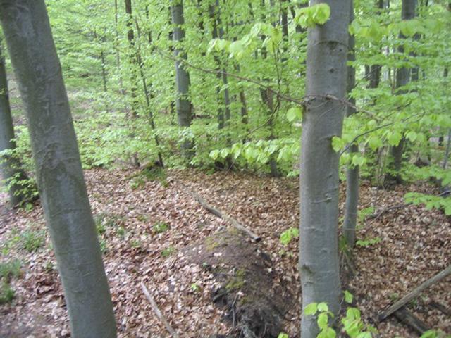 The Point. Standing on top of the hill where it resides. It’s essentially that mound of dirt ahead.