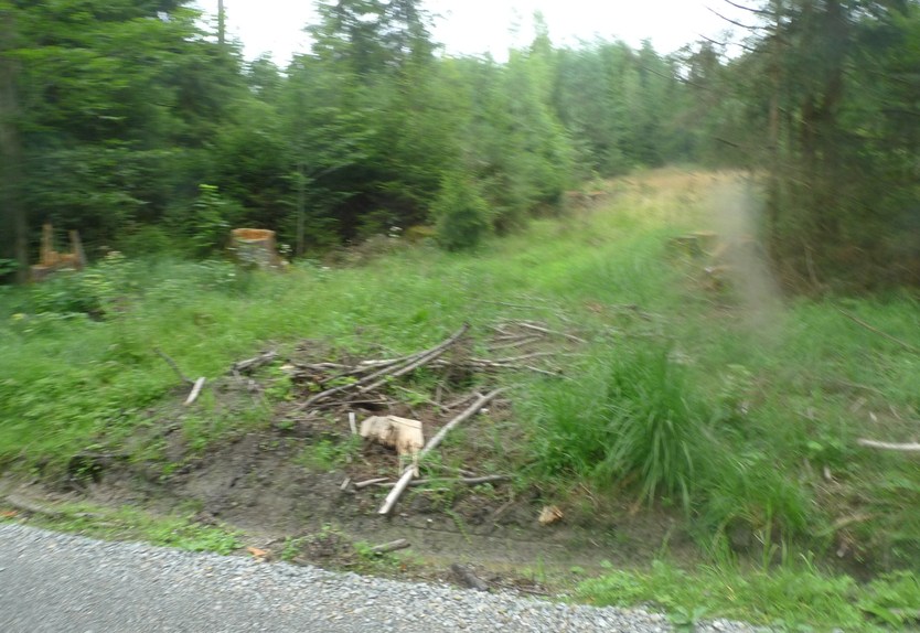 View towards the confluence site from the road