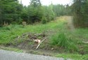 #7: View towards the confluence site from the road