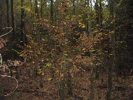 #3: Süden; view south