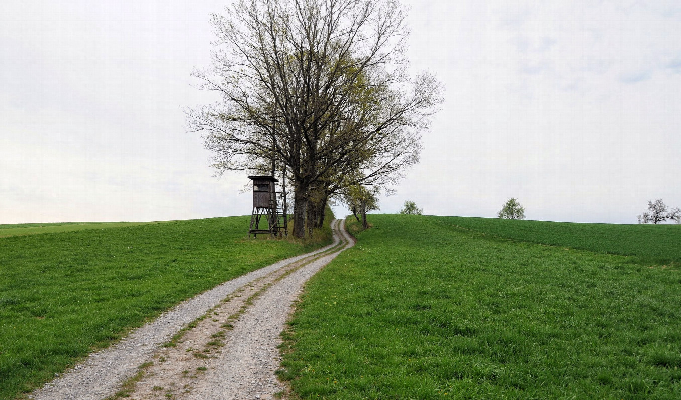 Sehr schöne Wandergegend