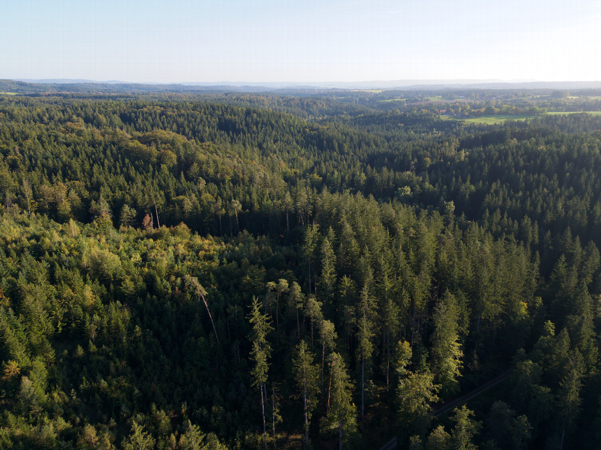 View South, from 120m above the point