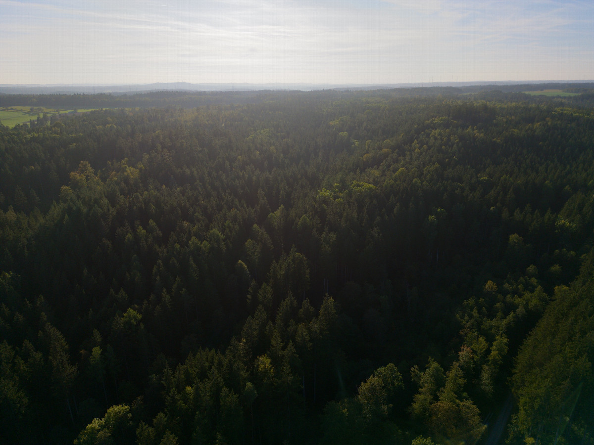 View West, from 120m above the point