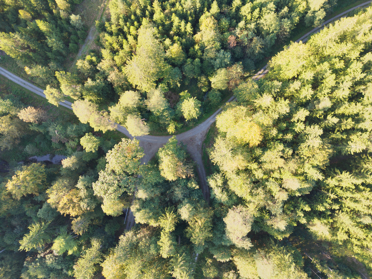 Looking down on the forestry road junction (130m S of the point) from a height of 120m