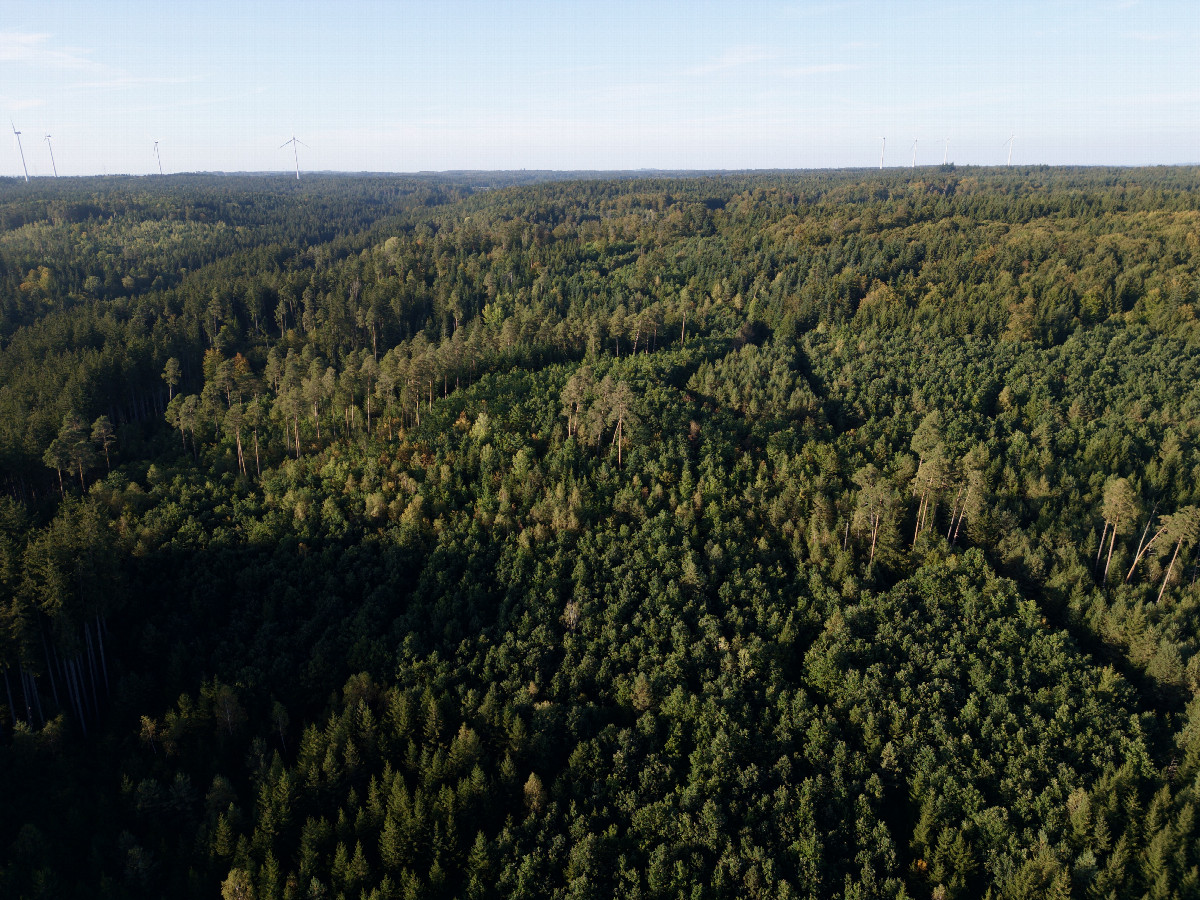 View North, from 120m above the point