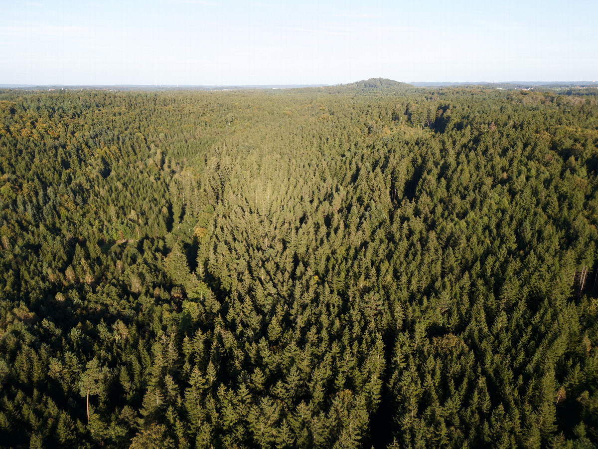 View East, from 120m above the point