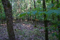 #2: View East