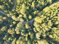 #7: Looking down on the forestry road junction (130m S of the point) from a height of 120m