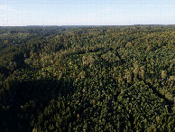 #8: View North, from 120m above the point