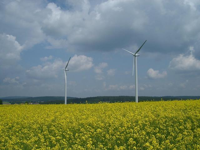 Proceeding towards confluence area: flourishing rape field with wind engines on the Ostalb