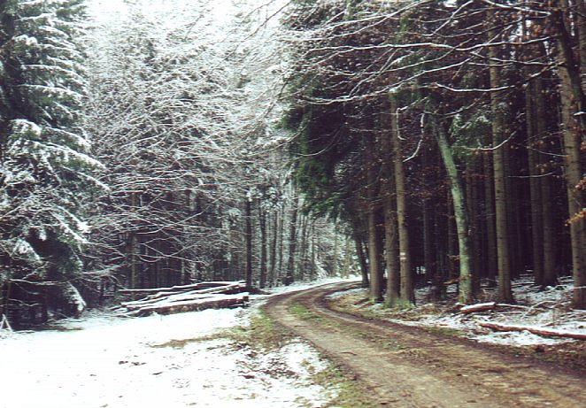 Looking down the road from the confluence