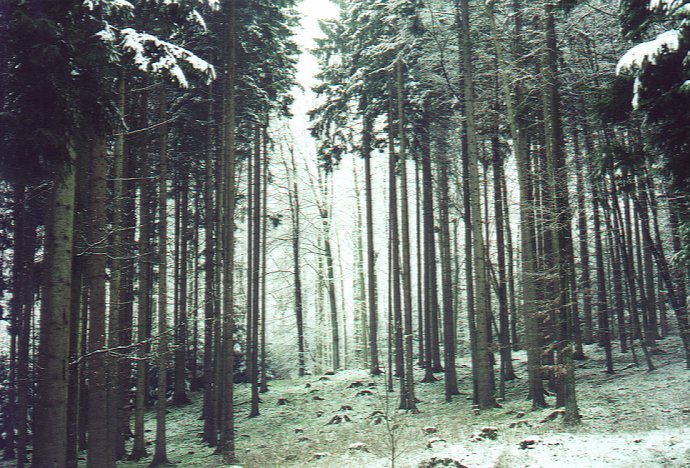 The Weissenberg Wilderness