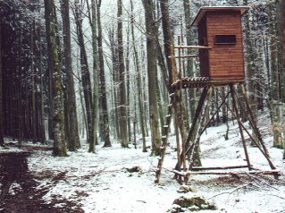 #1: Hunting tower at the confluence