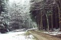 #2: Looking down the road from the confluence