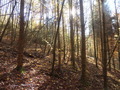 #2: View to the South