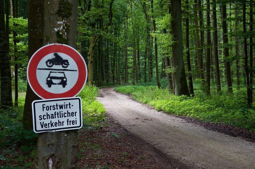 Where I parked. This dirt road leads towards the point, 1.2 km away.