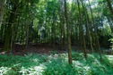 #2: View East